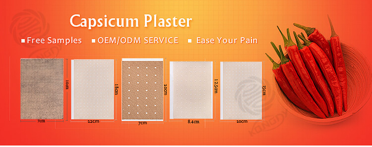 capsicum plaster pain relief products
