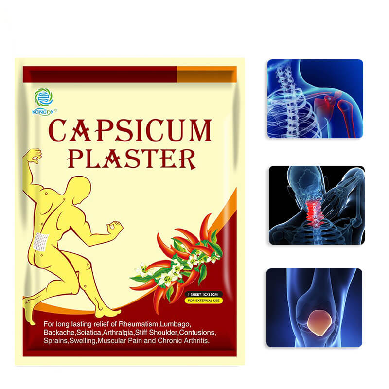 Pain Relief Capsicum Plaster     .jpg