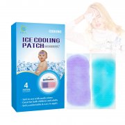 the Introduction of Cooling Gel Patch