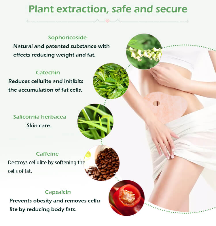 Ingredients of belly slim patch